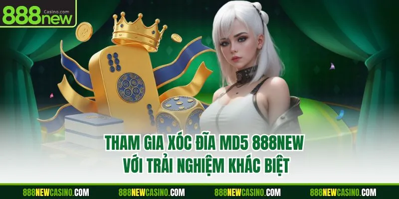 Tham gia xóc đĩa MD5 888NEW với trải nghiệm khác biệt